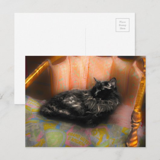 Black Cat Dreaming Briefkaart (Voorkant / Achterkant)