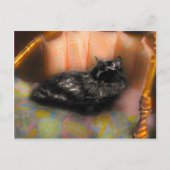 Black Cat Dreaming Briefkaart (Voorkant)