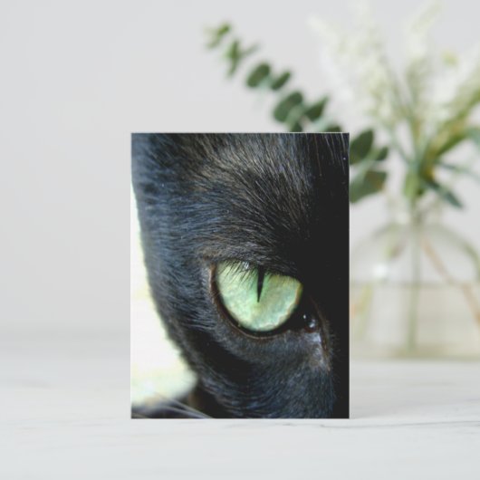 Black Cat Eye Briefkaart (Staand voorkant)