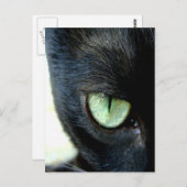 Black Cat Eye Briefkaart (Voorkant / Achterkant)