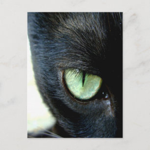 Black Cat Eye Briefkaart