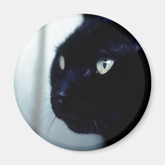Black Cat Face Magneet (Voorkant)