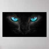 Black Cat Face with Turquoise Eyes Poster (Voorkant)