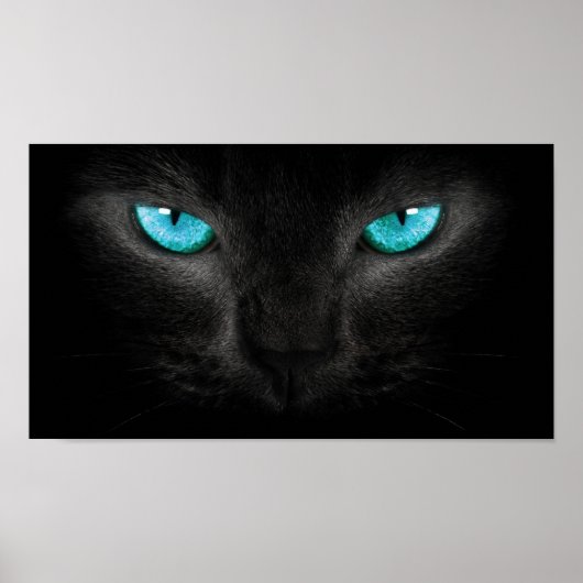 Black Cat Face with Turquoise Eyes Poster (Voorkant)