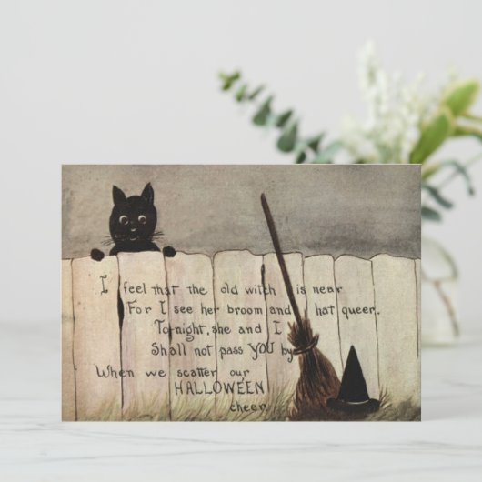 Black Cat Fence Witch's Broom Pet (Staand voorkant)