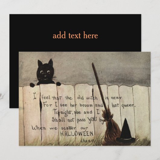 Black Cat Fence Witch's Broom Pet (Voorkant / Achterkant)