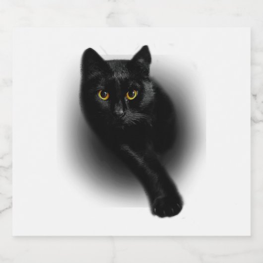 Black Cat Filing Nails Sparkling Wijnetiket (Enkel label)