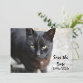 Black Cat Folded Save The Date Invitation Kaart (Staand voorkant)