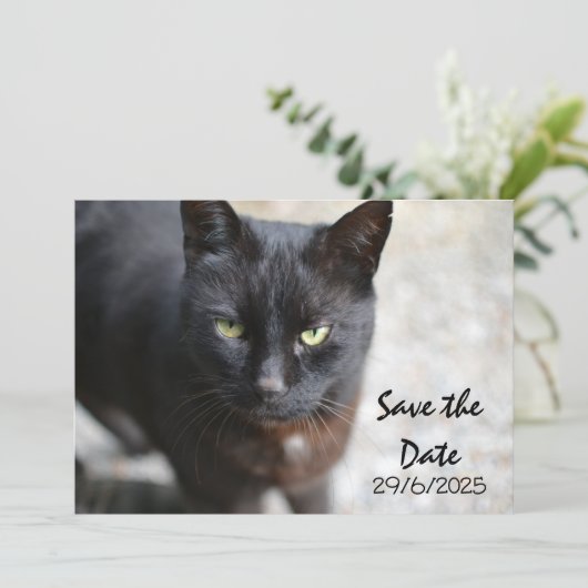 Black Cat Folded Save The Date Invitation Kaart (Staand voorkant)
