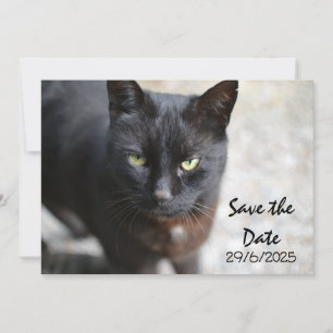 Black Cat Folded Save The Date Invitation Kaart