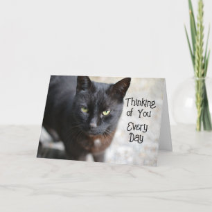 Black Cat Folded Thinking of You Wenskaart Kaart