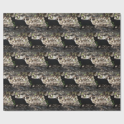 Black Cat-foto Cadeaupapier (Vlak)