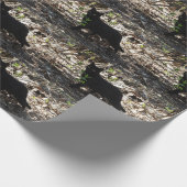 Black Cat-foto Cadeaupapier (Hoek)