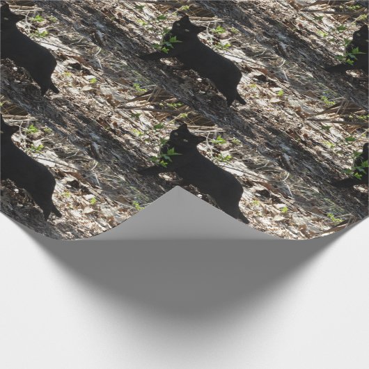 Black Cat-foto Cadeaupapier (Hoek)