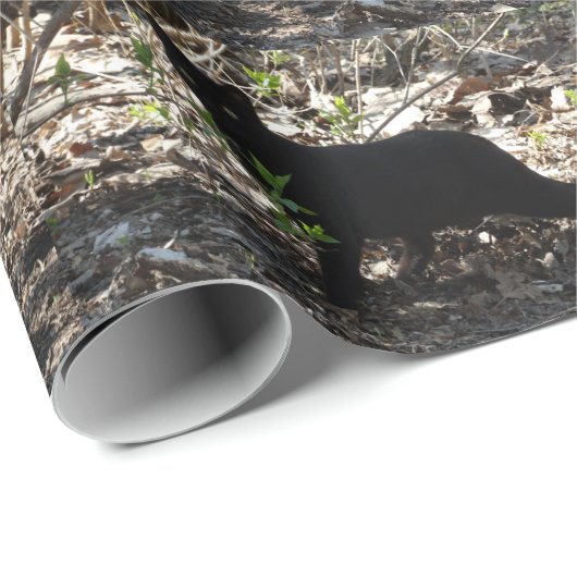 Black Cat-foto Cadeaupapier (Rol Hoek)