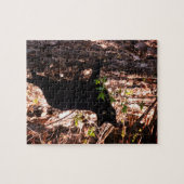 Black Cat-foto Legpuzzel (Horizontaal)