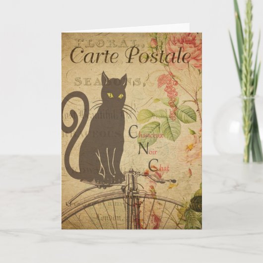 Black Cat French Postcard Card Kaart (Voorkant)