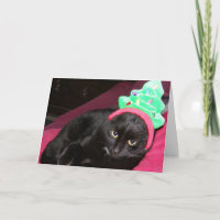 Black Cat Funny Holiday Card Bah Humbug
