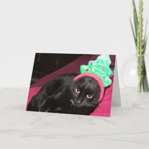 Black Cat Funny Holiday Card Bah Humbug Feestdagen Kaart