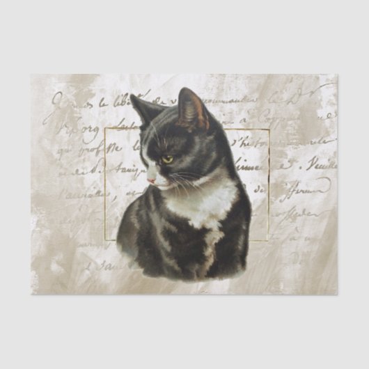 Black Cat Gold French Script Gold Lijst  Tissuepapier (Voorkant)