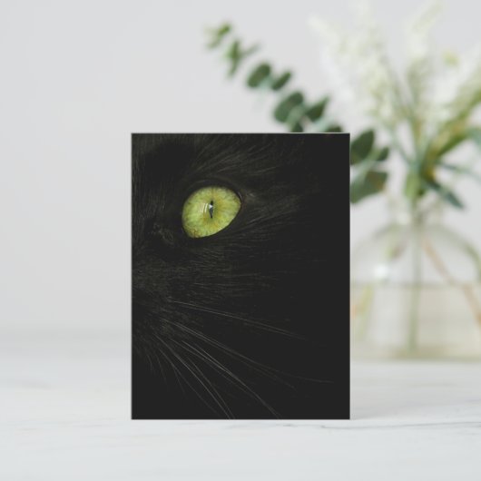 Black Cat, Green Eye briefkaart (Staand voorkant)