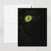 Black Cat, Green Eye briefkaart (Voorkant / Achterkant)