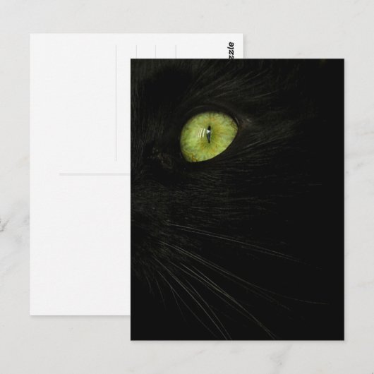 Black Cat, Green Eye briefkaart (Voorkant / Achterkant)