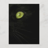 Black Cat, Green Eye briefkaart (Voorkant)