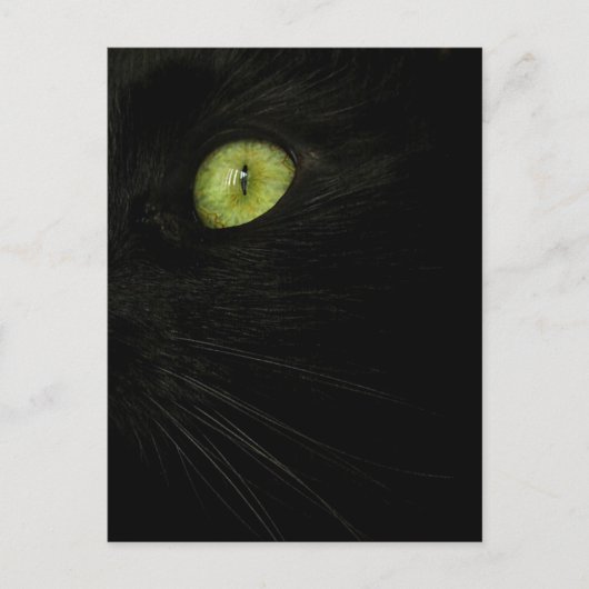 Black Cat, Green Eye briefkaart (Voorkant)