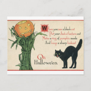 Black Cat Halloween  gedicht Briefkaart