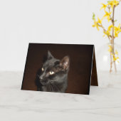 BLACK CAT HALLOWEEN-kaart Kaart (Gele Bloem)