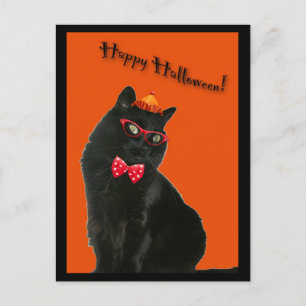 Black Cat Happy Halloween Briefkaart