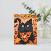 Black Cat Happy Halloween Postcard Briefkaart (Staand voorkant)