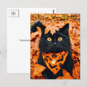 Black Cat Happy Halloween Postcard Briefkaart (Voorkant / Achterkant)