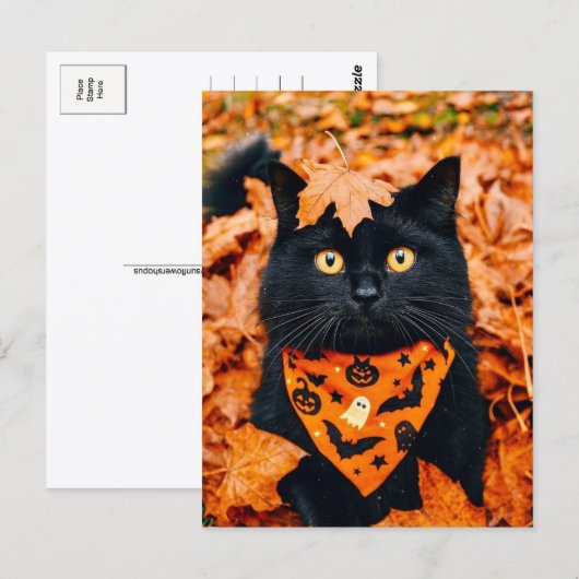 Black Cat Happy Halloween Postcard Briefkaart (Voorkant / Achterkant)