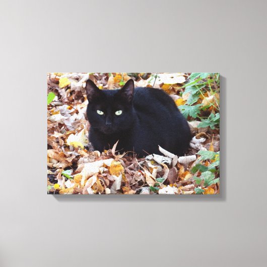 Black Cat herfst foto single Canvas Afdruk (Voorkant)