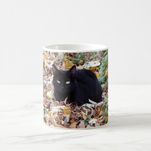 Black Cat herfstfoto Classic White Mok (Center)