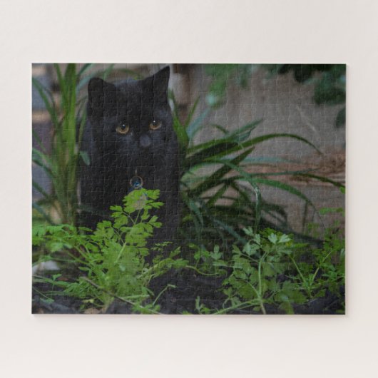 Black Cat Hidden in the Plants, 520 pieces Legpuzzel (Horizontaal)