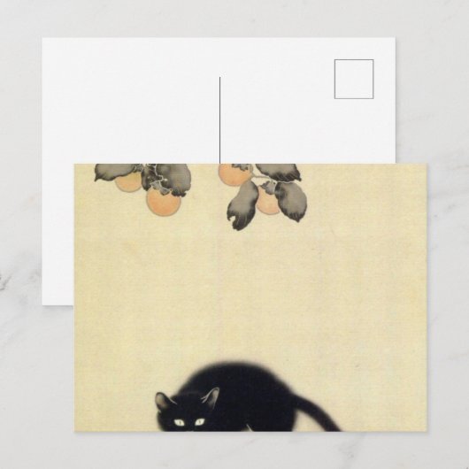 Black Cat Hishida Shunso Briefkaart (Voorkant / Achterkant)
