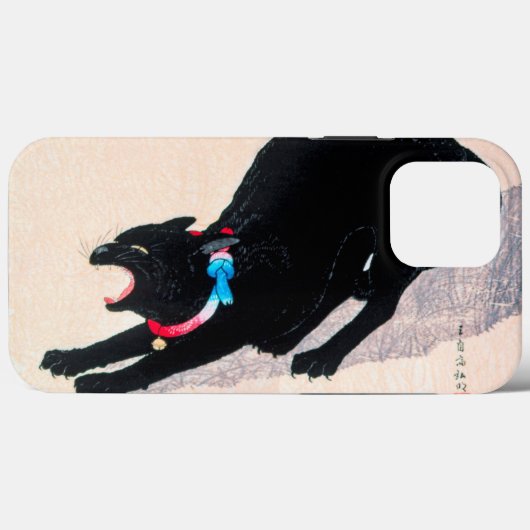 Black Cat Hissing Fine Art van Hiroaki Takahashi Case-Mate iPhone Case (Achterkant (horizontaal))