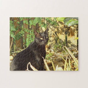 Black Cat in Morning Sun Puzzle Legpuzzel
