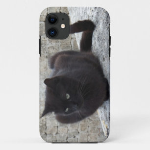 Black Cat iPhone 5 hoesje-partner Case-Mate iPhone Case