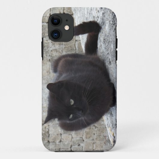 Black Cat iPhone 5 hoesje-partner Case-Mate iPhone Case (Achterkant)