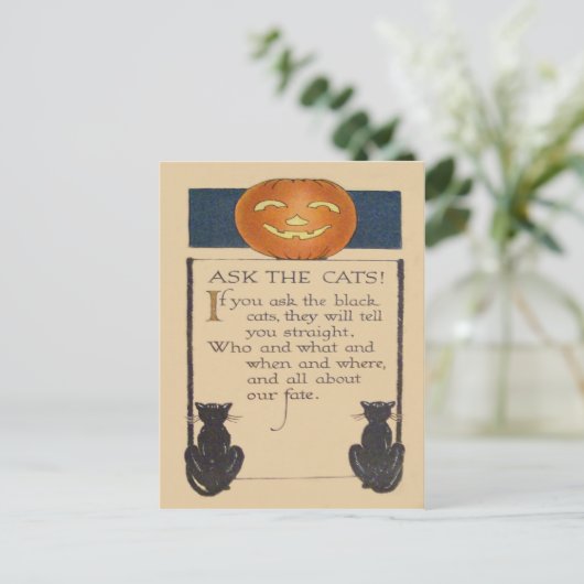 Black Cat Jack O' Lantaarn Pompoen Briefkaart (Staand voorkant)