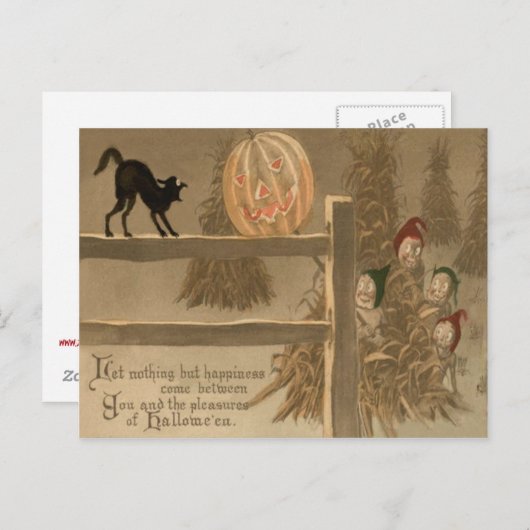 Black Cat Jack O Lantaarn Pompoen Haystack Briefkaart (Voorkant / Achterkant)
