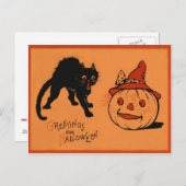 Black Cat Jack O Lantaarn Pumpkin Witch's Pet Briefkaart (Voorkant / Achterkant)
