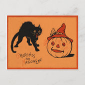 Black Cat Jack O Lantaarn Pumpkin Witch's Pet Briefkaart (Voorkant)