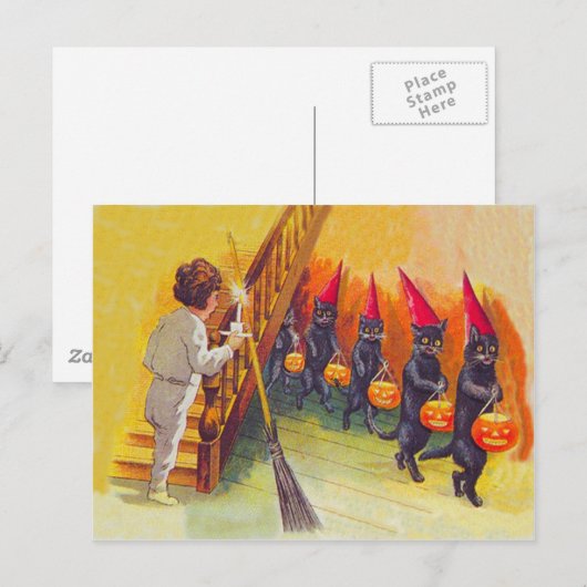 Black Cat Jack O Lanter pompoenbezem Briefkaart (Voorkant / Achterkant)