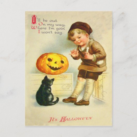Black Cat Jack O Lanter Pumpkin Girl Briefkaart (Voorkant)