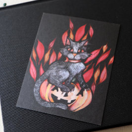 Black Cat Jack O Lantern Autumn Natuur Briefkaart